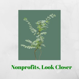 Nonprofits Take Closer Look-3